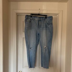 Madewell Light Blue Distressed Ankle Jeans